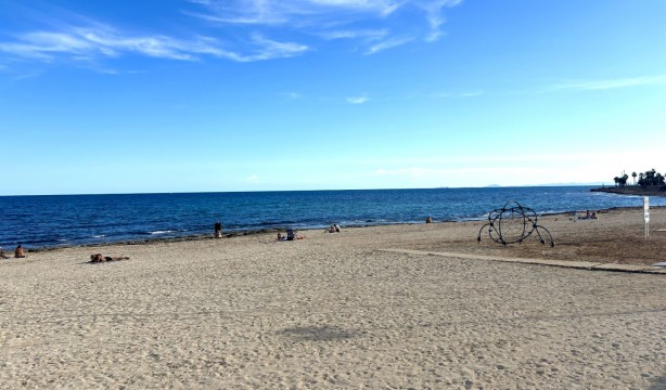 Obra nueva - Ático - Torrevieja - Playa de los Locos