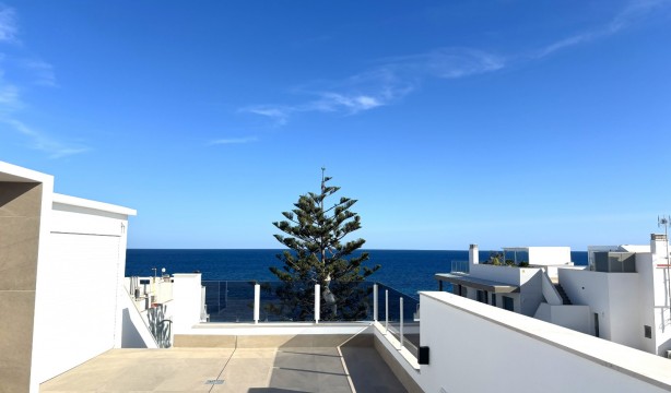 Neubau - Penthouse - Torrevieja - Playa de los Locos