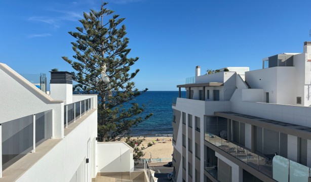 Obra nueva - Ático - Torrevieja - Playa de los Locos