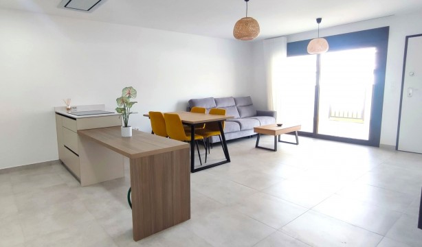 Obra nueva - Ático - Pilar de la Horadada