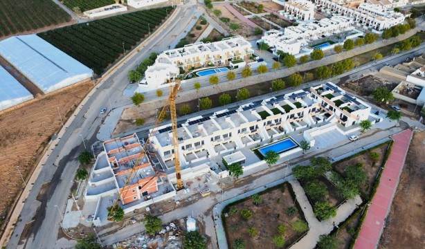 Neubau - Wohnung - Pilar de la Horadada