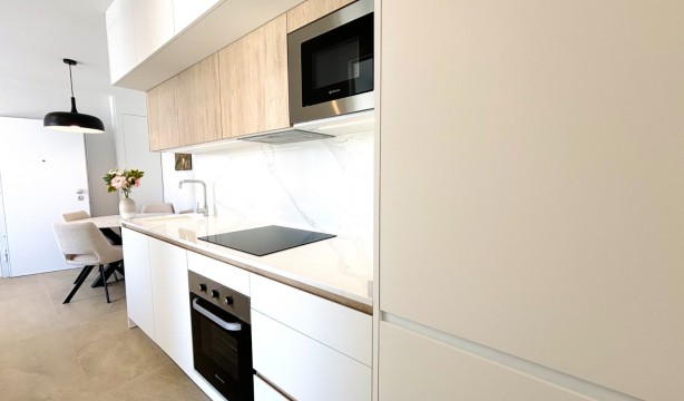 Neubau - Penthouse - Torrevieja - Playa de los Locos