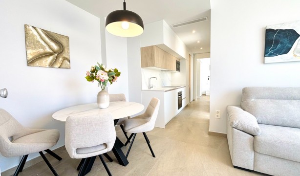 Neubau - Penthouse - Torrevieja - Playa de los Locos