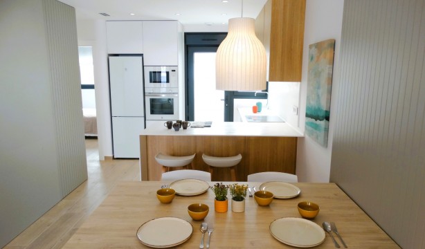 Neubau - Penthouse - Pilar de la Horadada