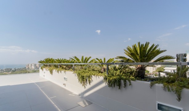 Obra nueva - Villa - Orihuela Costa - Dehesa de Campoamor